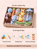 💕Mystery Cat 😺Toy Box💕🎥